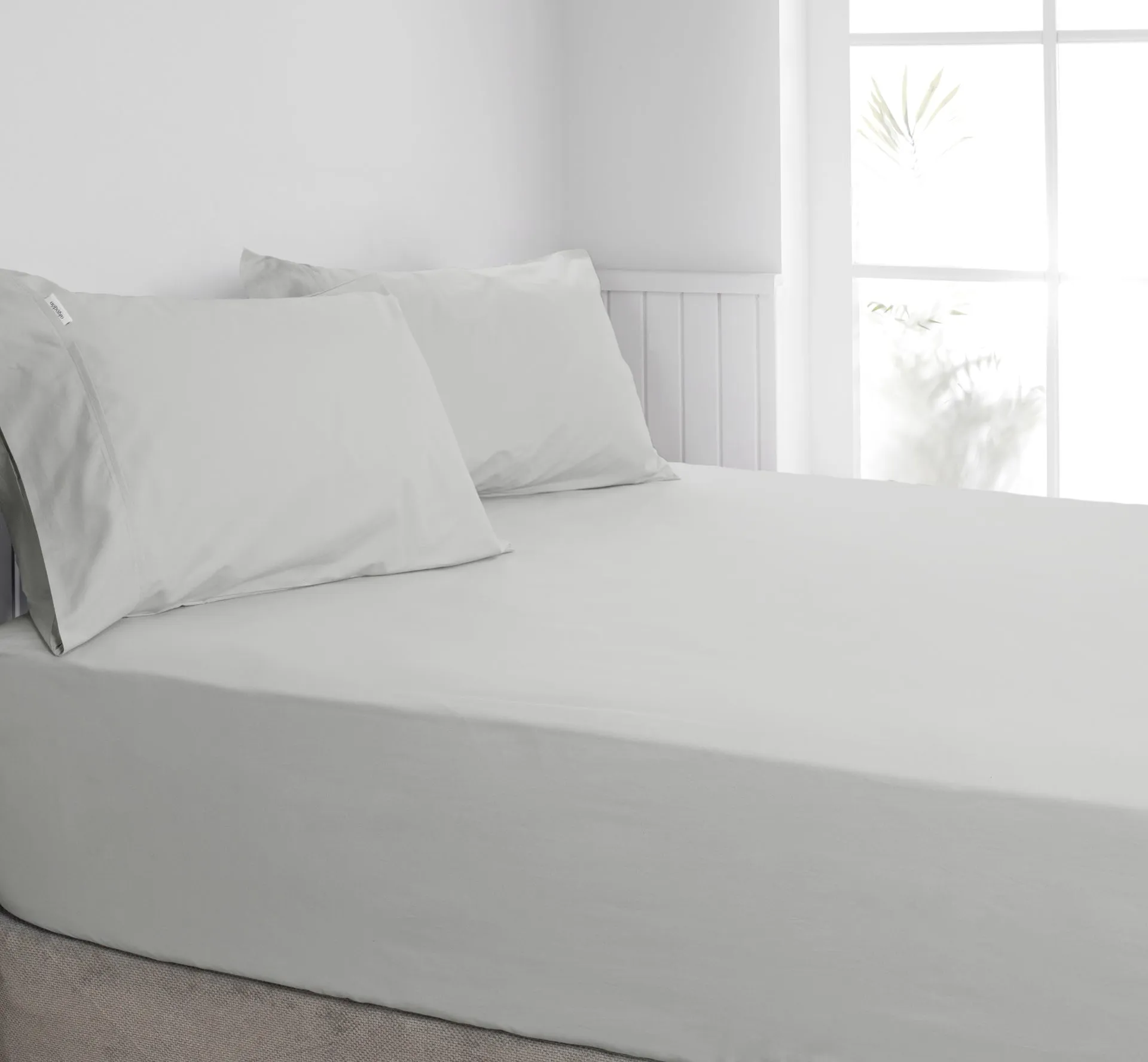 ALGODON "300TC Cotton" FITTED SHEET Combo Set - SILVER