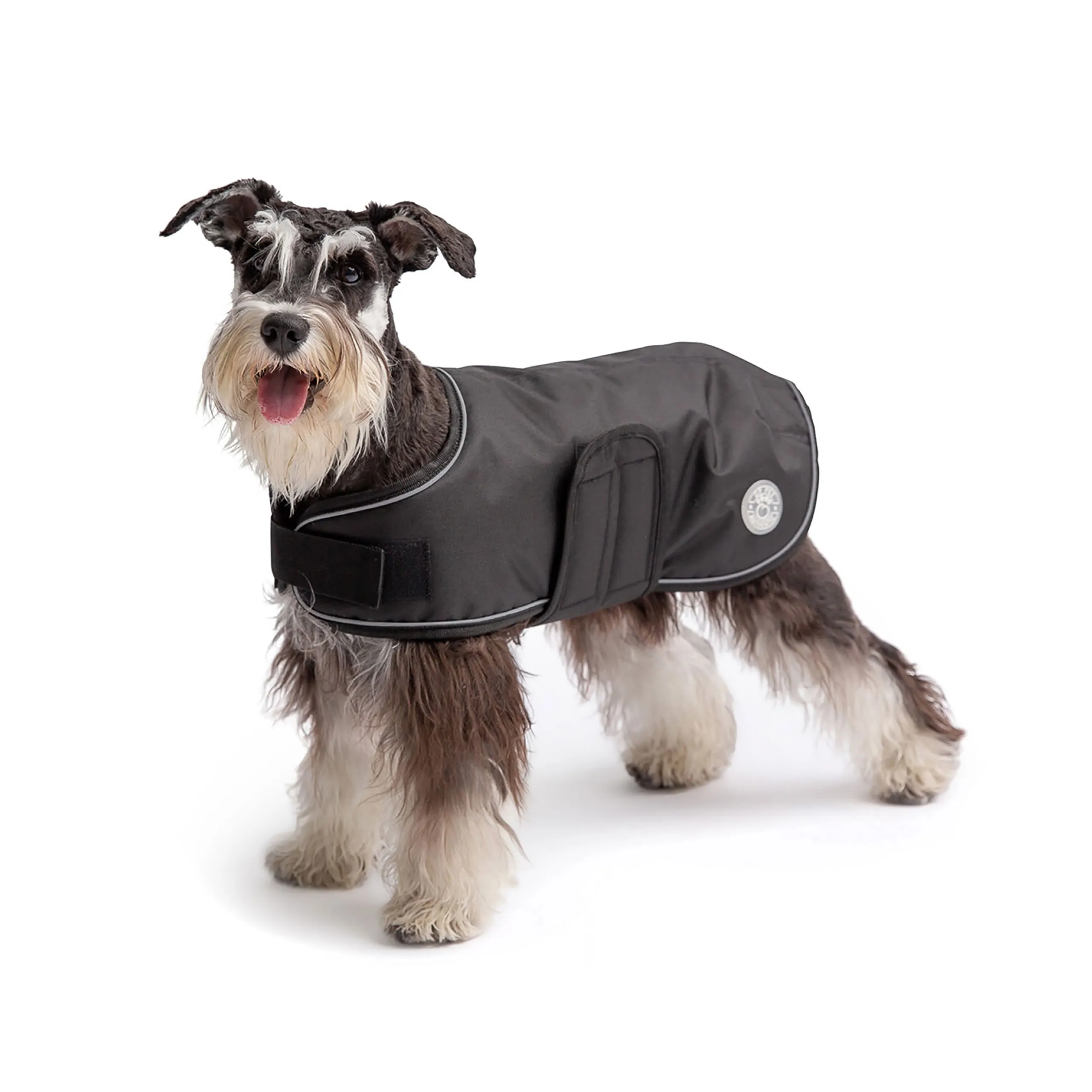 Blanket Dog Jacket - Black