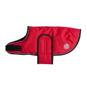 Blanket Dog Jacket - Red
