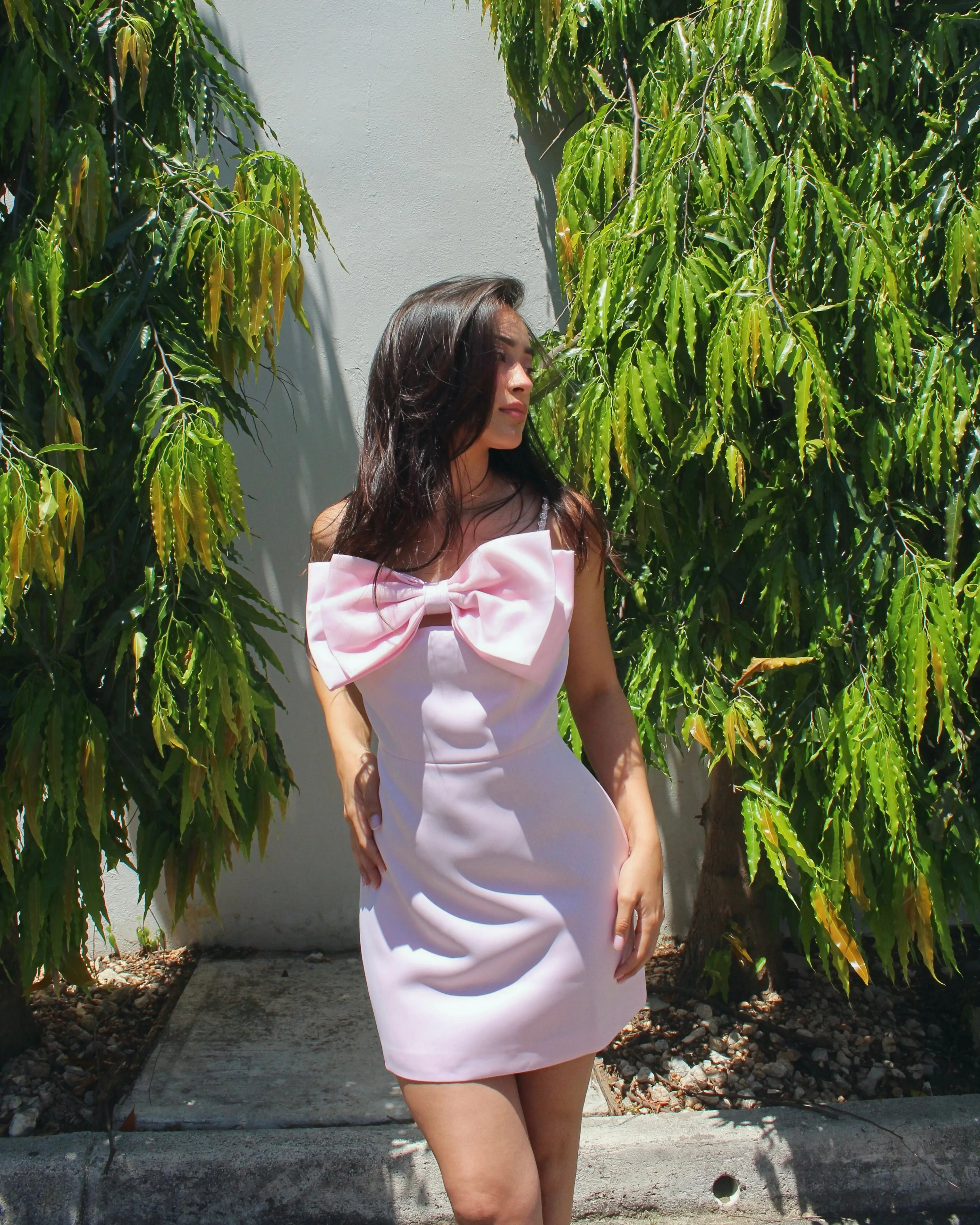 Brienna Dress