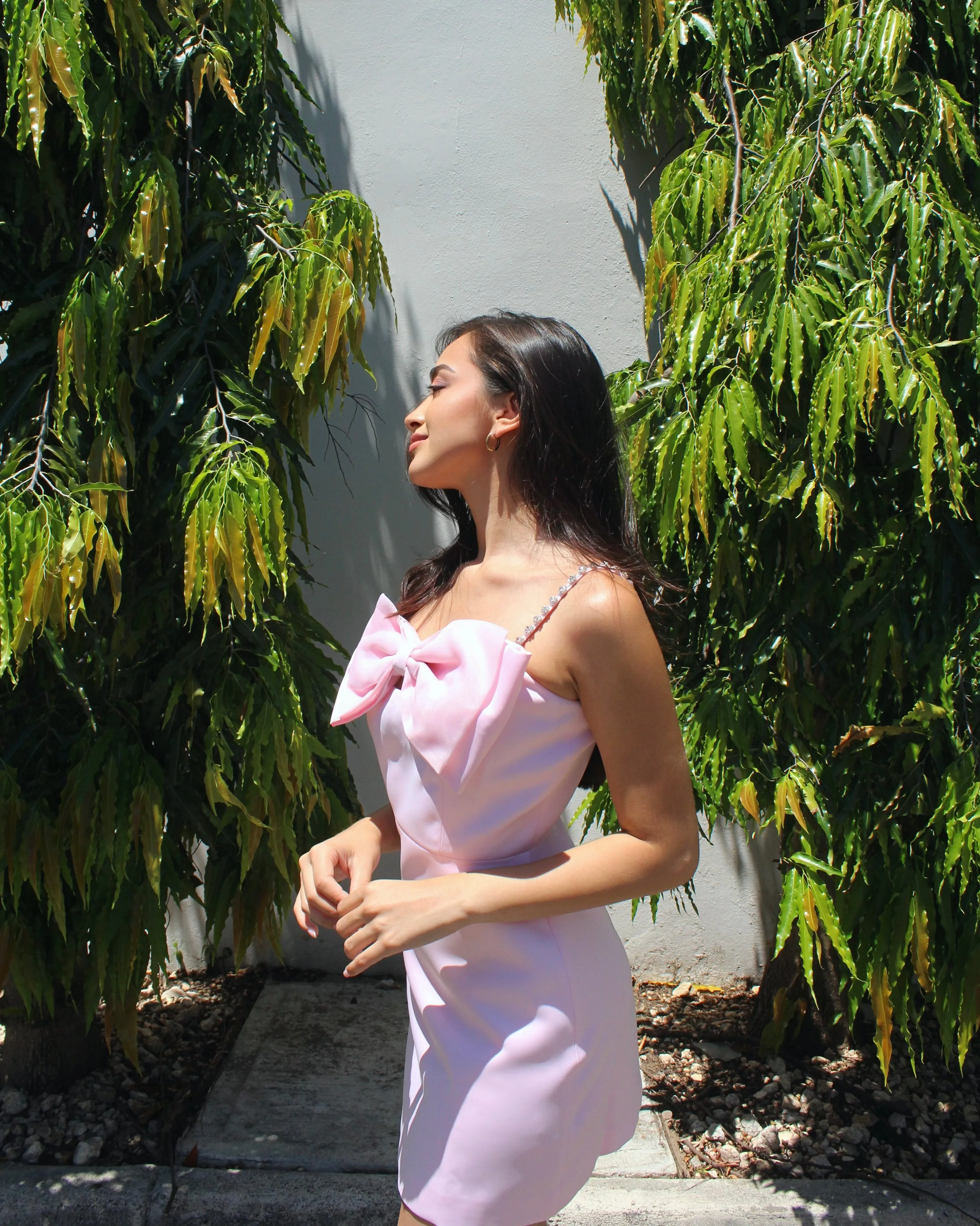 Brienna Dress
