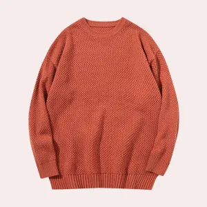 Casual crewneck sweater for men