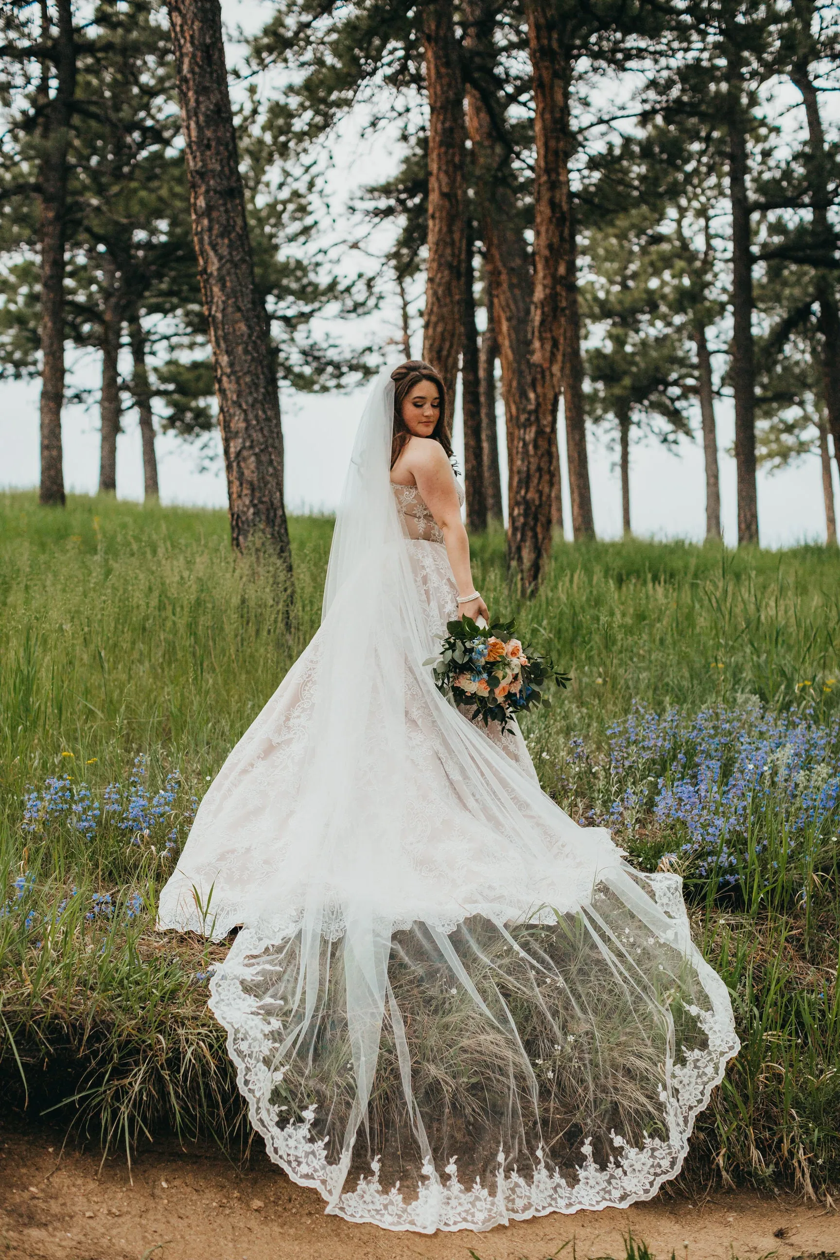 Cathedral Veil with Floral French Lace Trim, White/ Off White/ Ivory Lace Wedding Veil