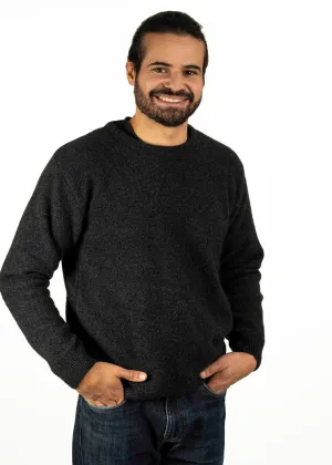 CREW NECK JUMPER
