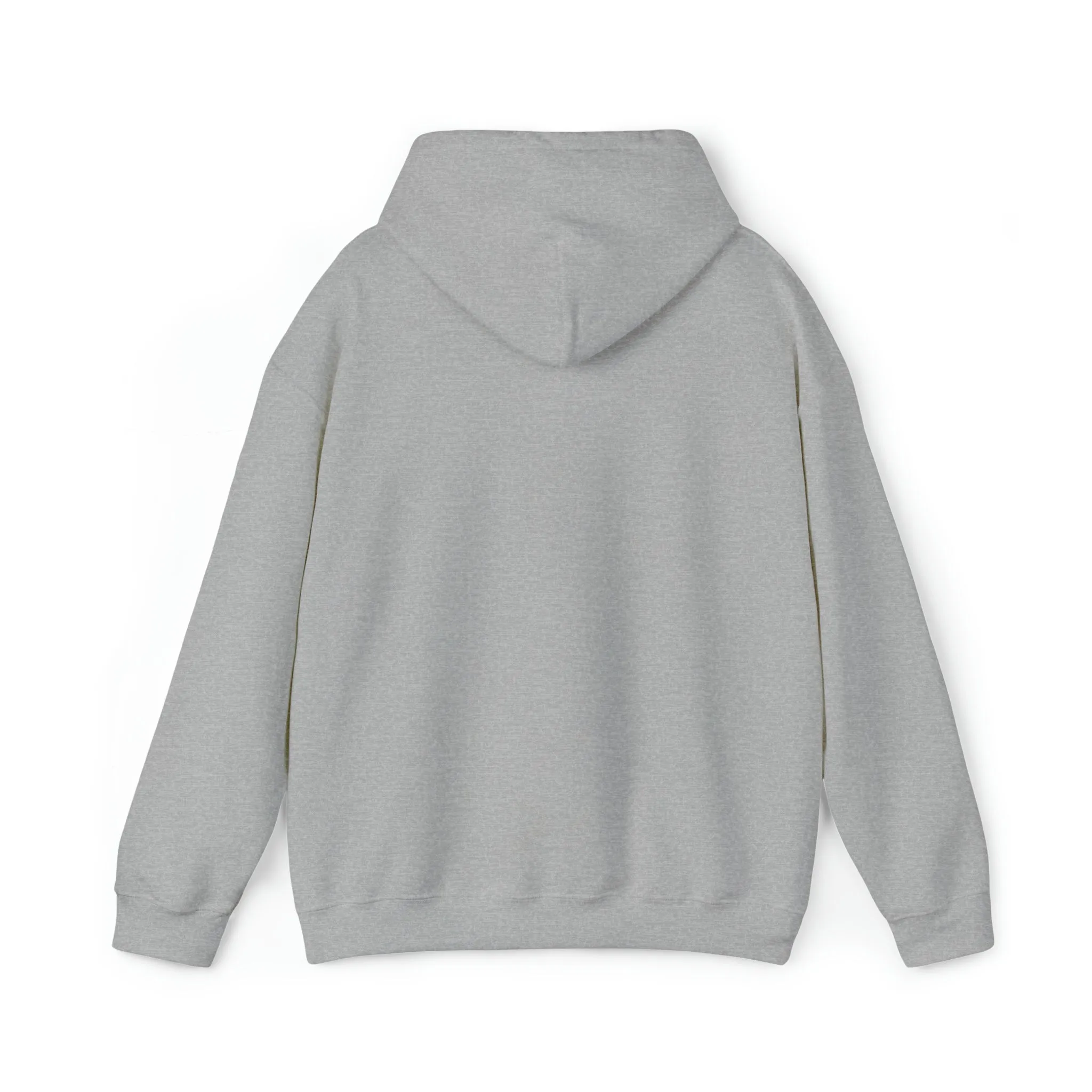 In the 6ix Adult Hoodie