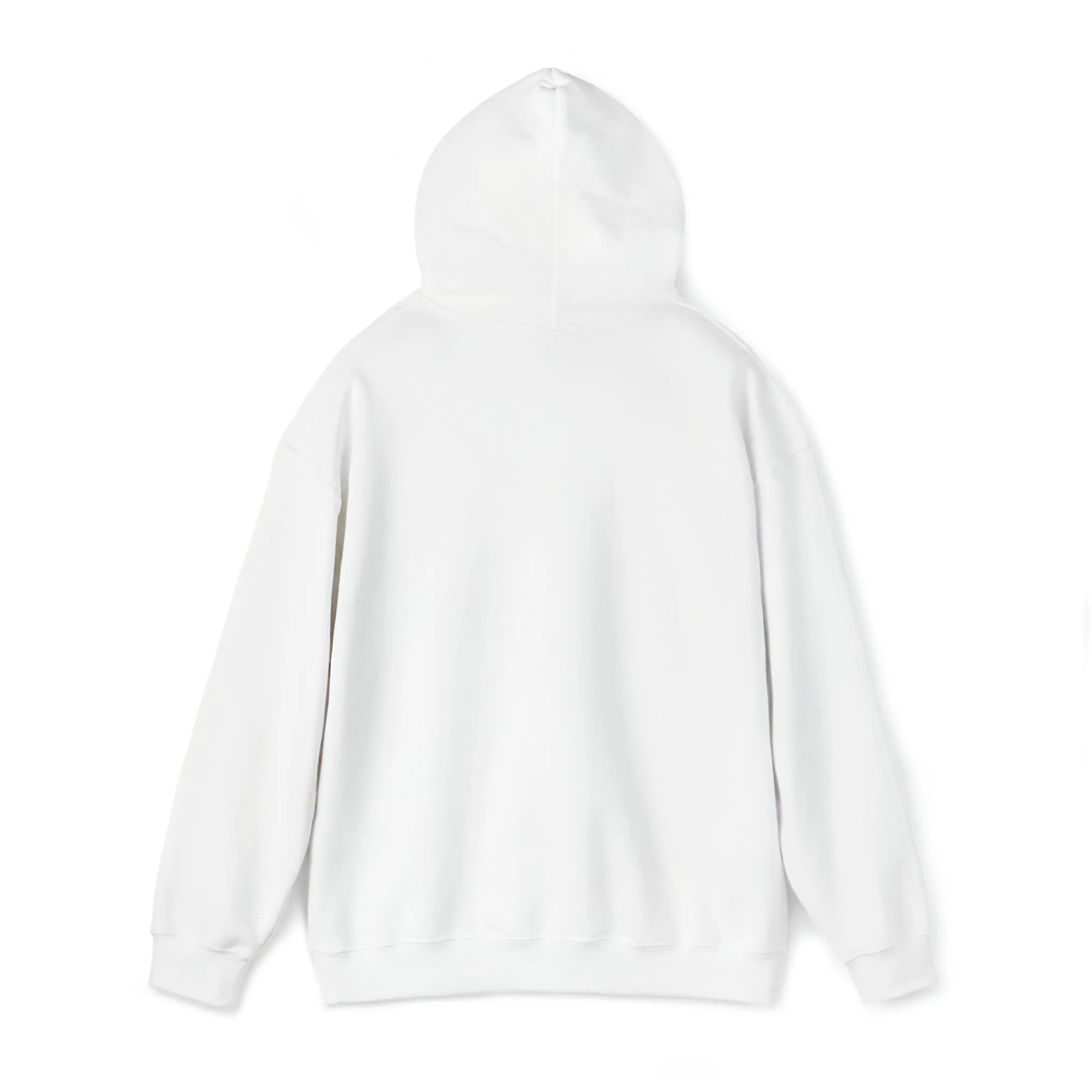 In the 6ix Adult Hoodie
