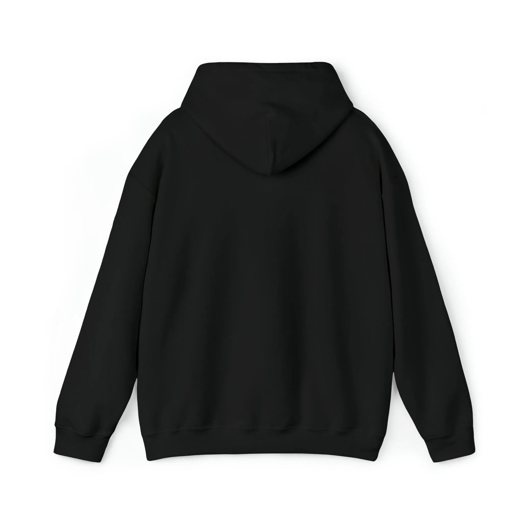 In the 6ix Adult Hoodie