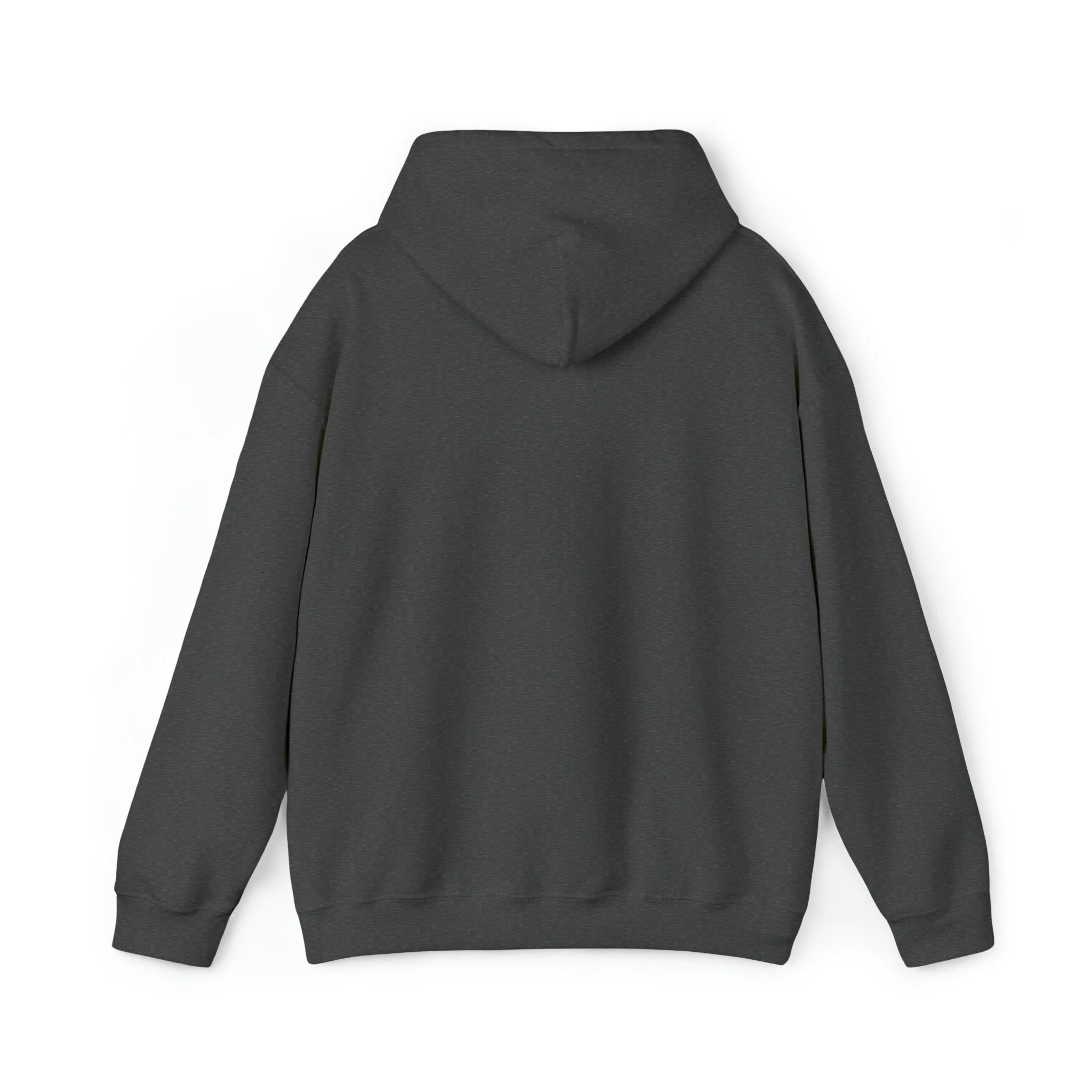 In the 6ix Adult Hoodie