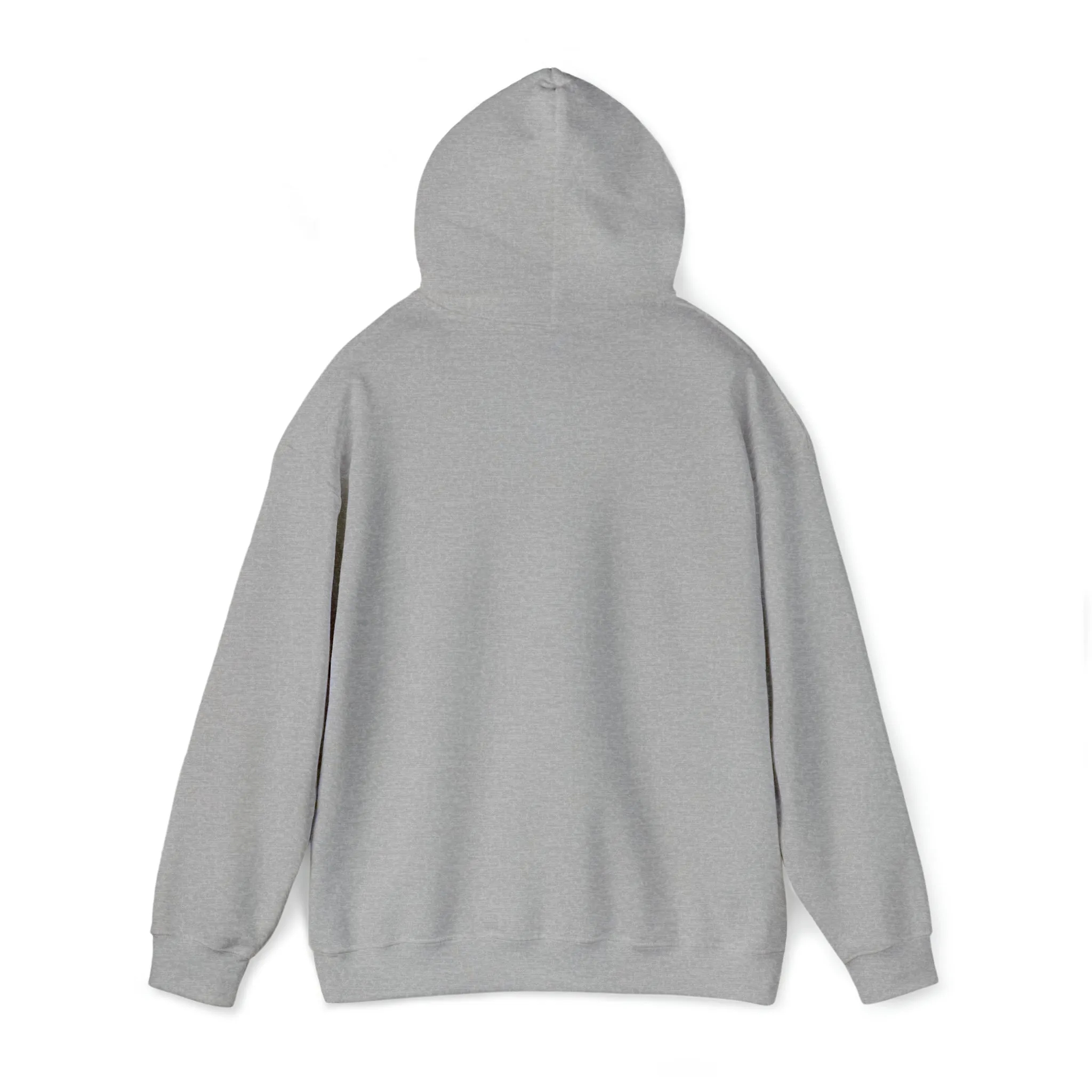 In the 6ix Adult Hoodie