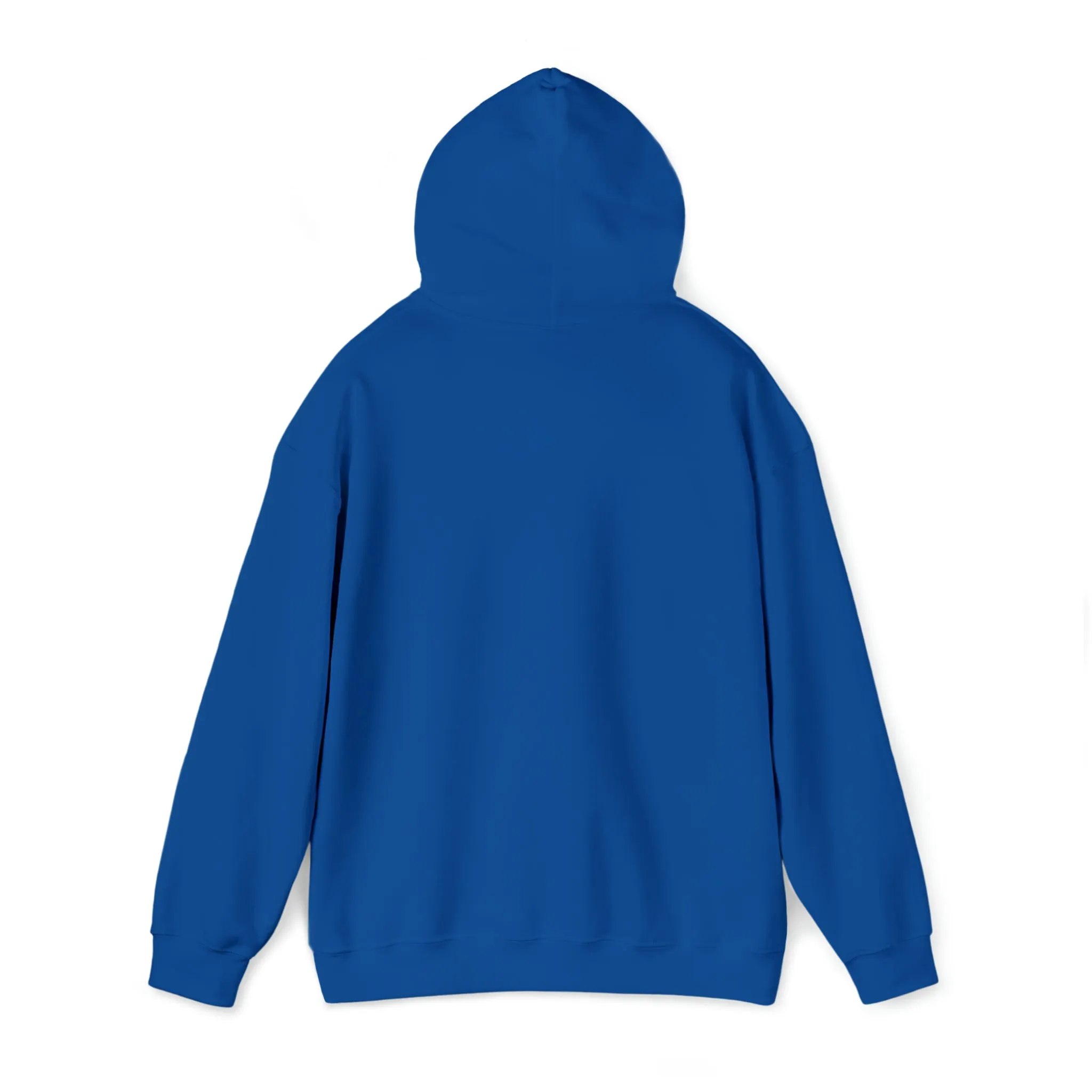 In the 6ix Adult Hoodie