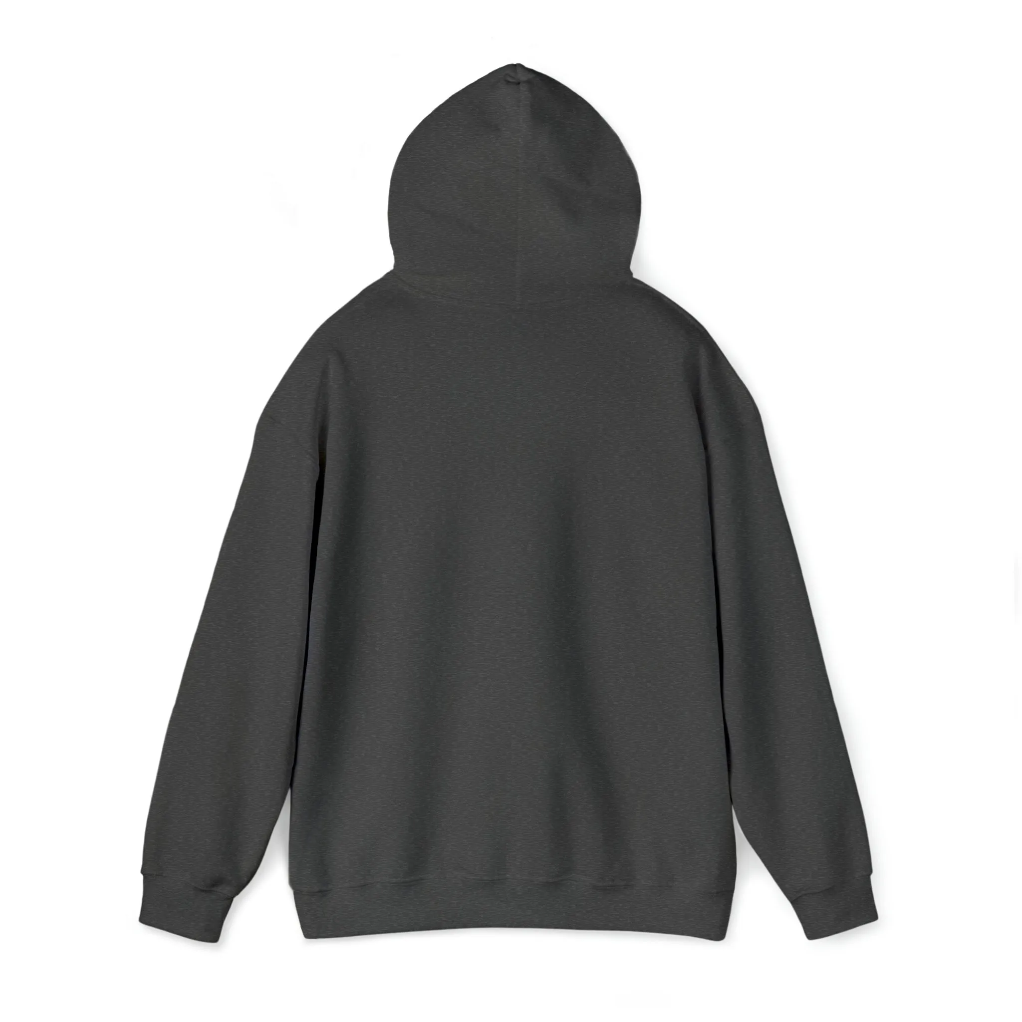 In the 6ix Adult Hoodie