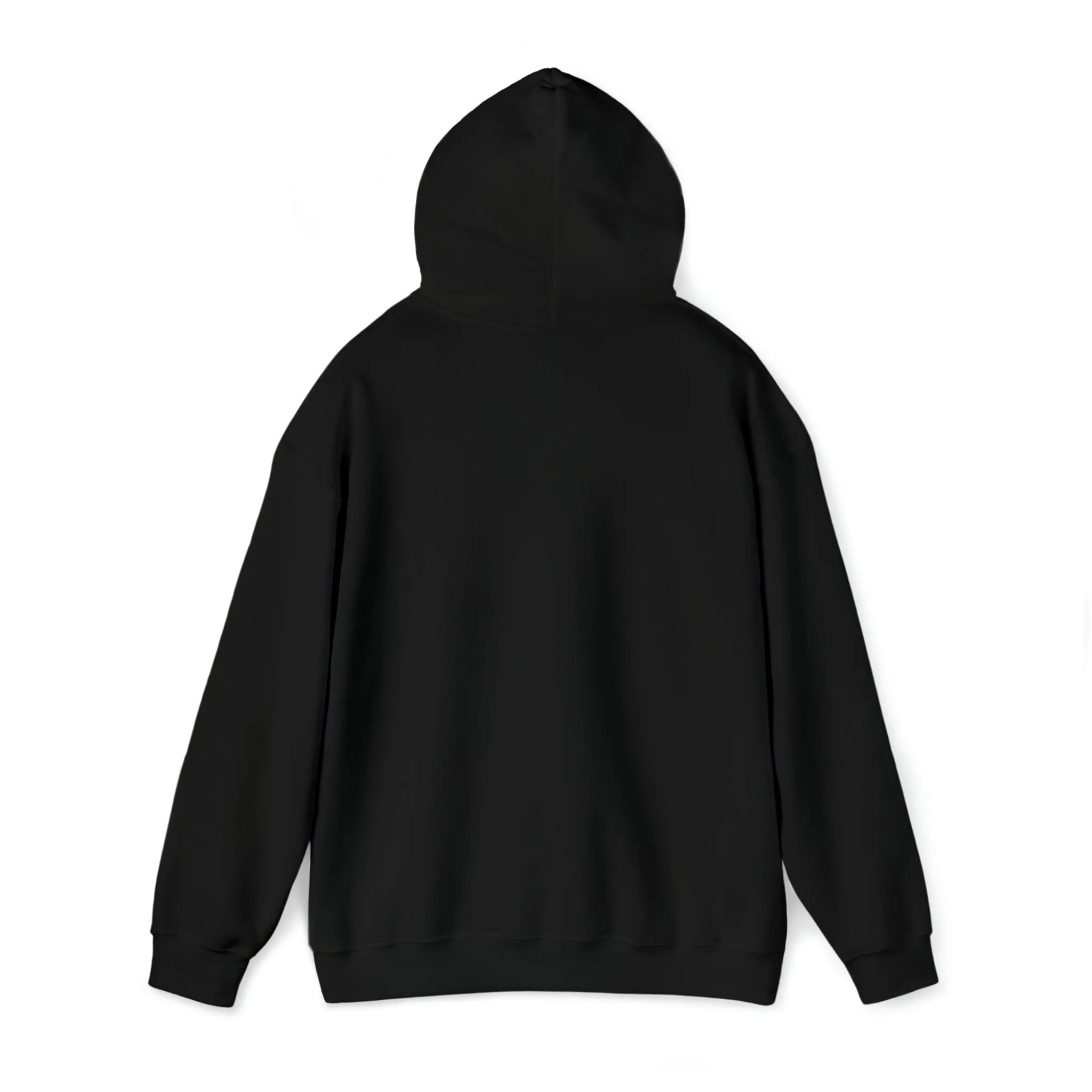 In the 6ix Adult Hoodie