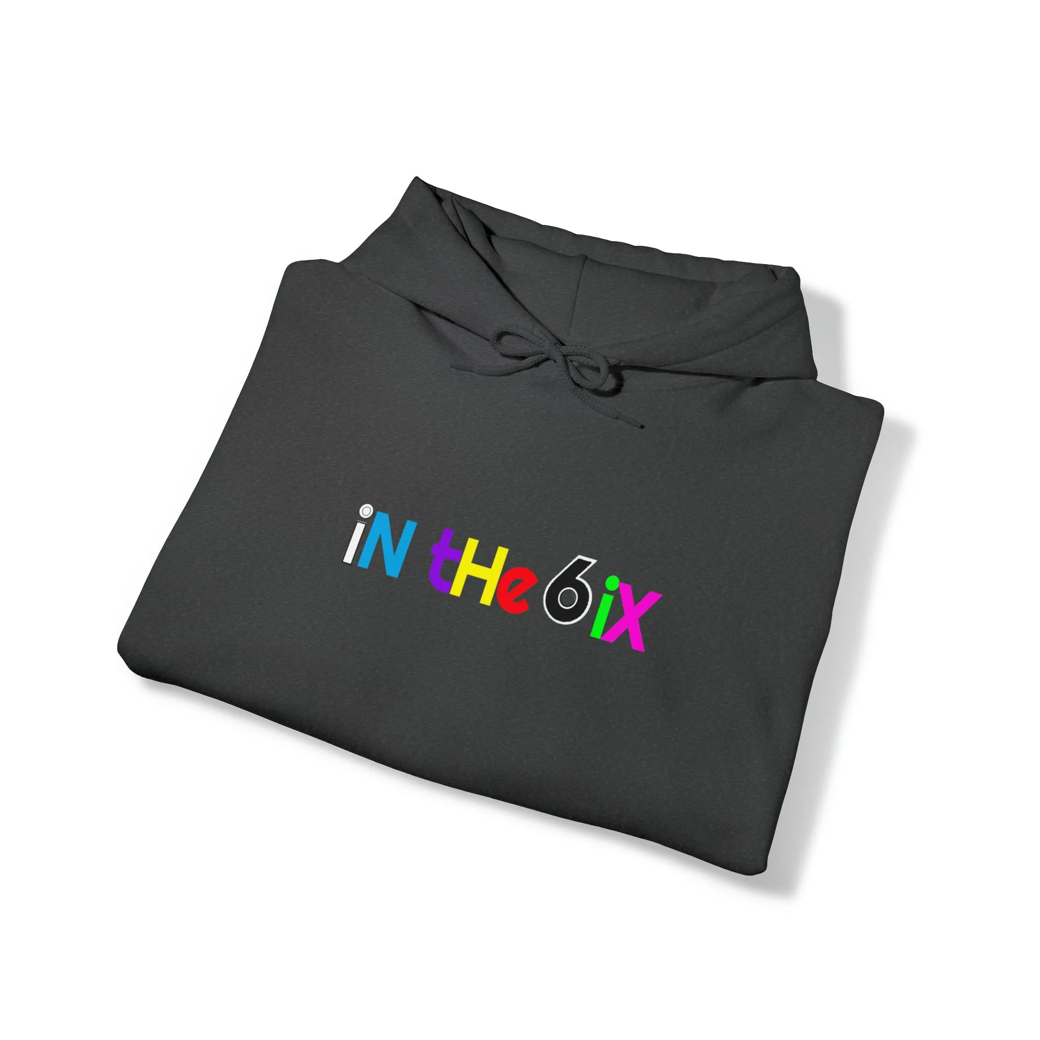 In the 6ix Adult Hoodie