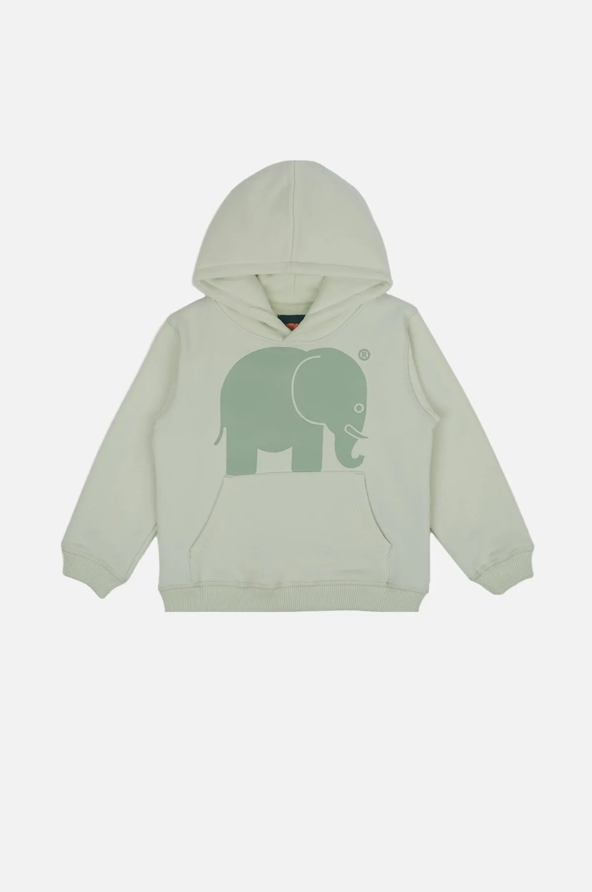 Kid's Organic Classic Hoodie Mint Green