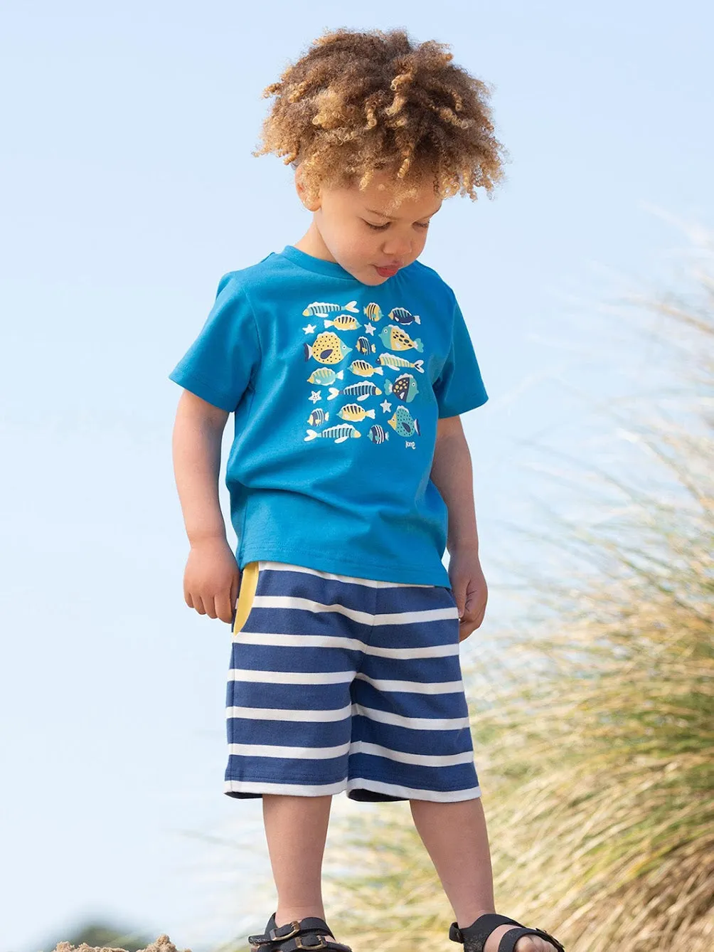 Kite Funky Fish T-Shirt F359