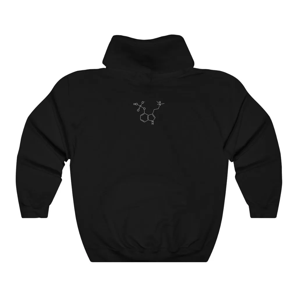 Kundalini Rising Hooded Sweatshirt