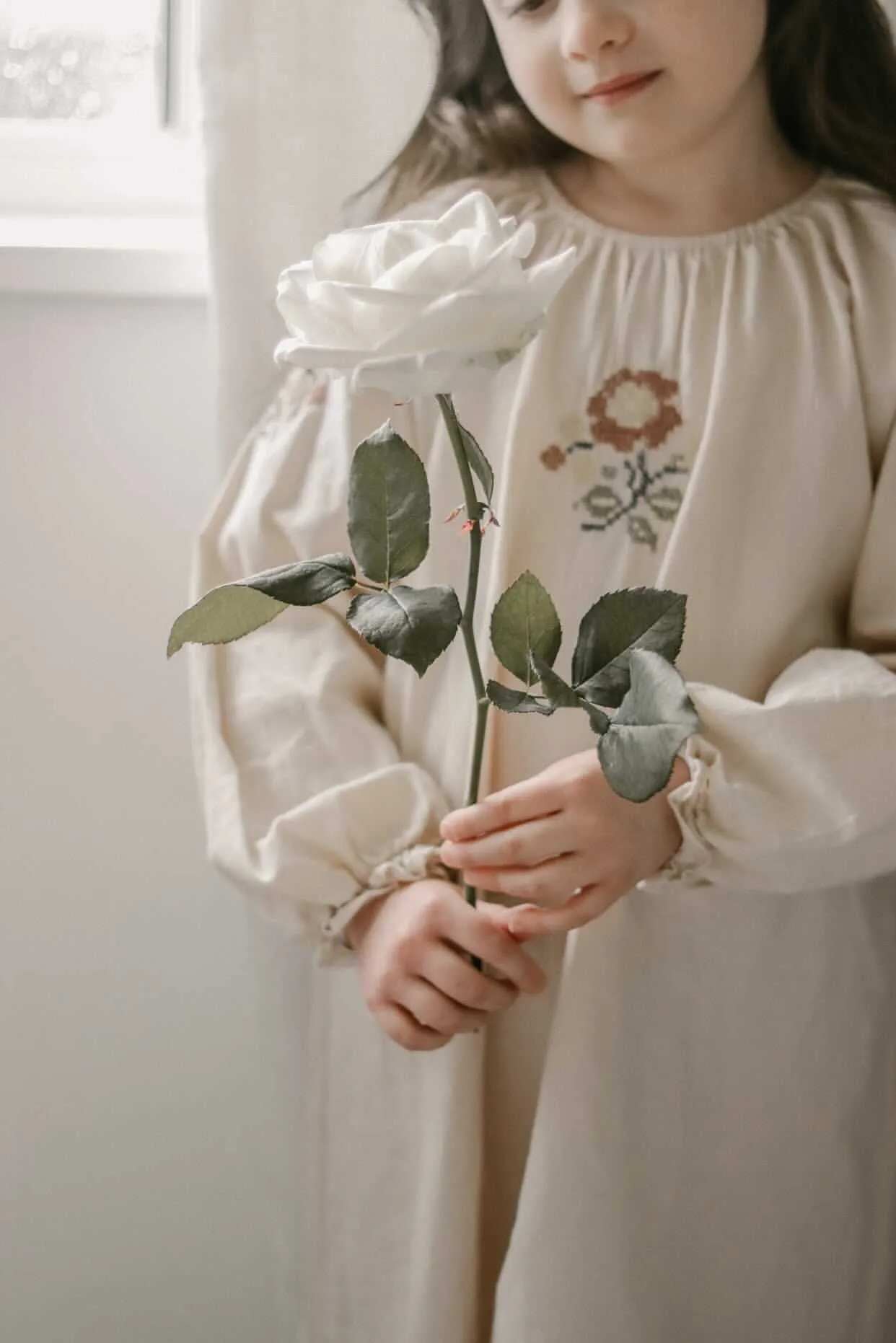 Monbebe Embroidery Dress (2 colour options)