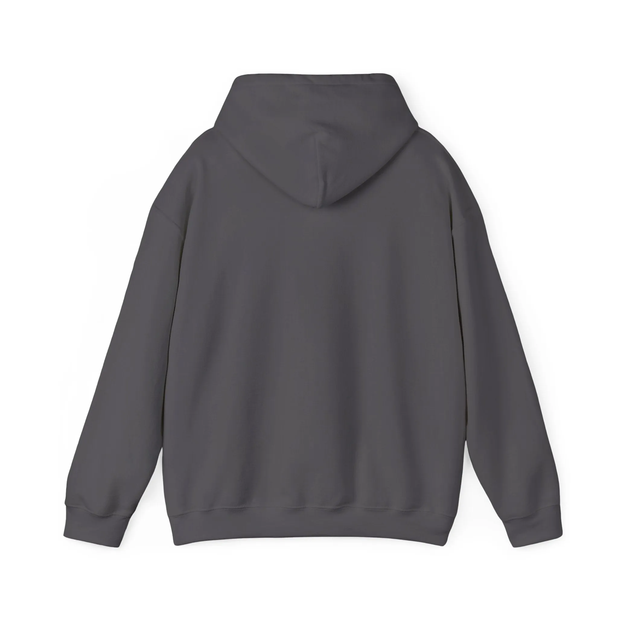 "MUGSHOT" | Oversized Hoodie