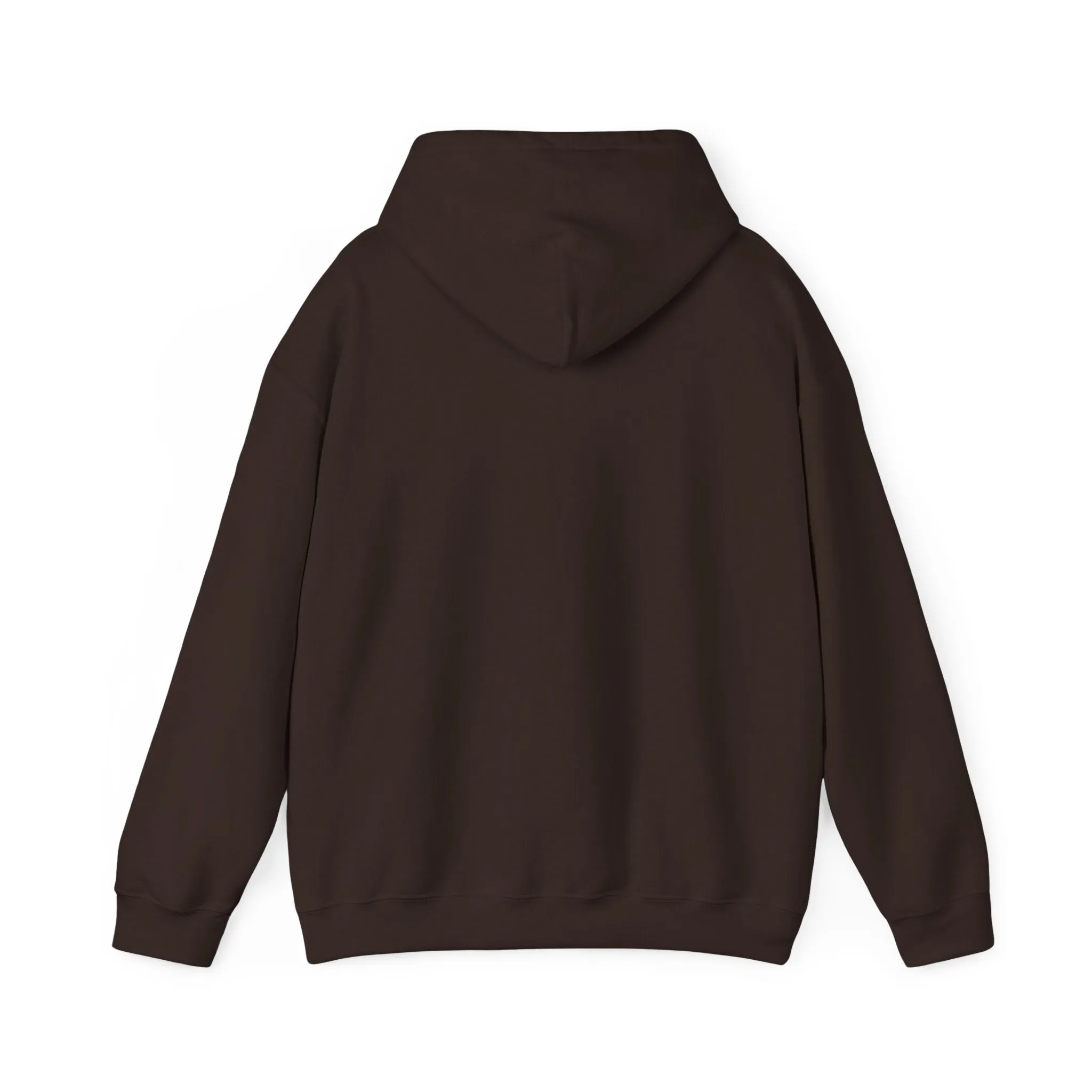 "MUGSHOT" | Oversized Hoodie
