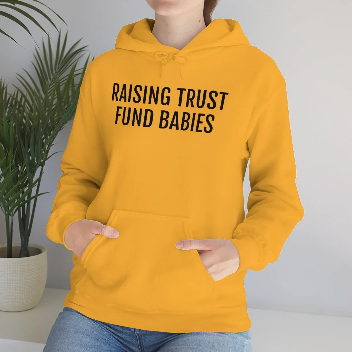 Raising Trust Fund Babies - Unisex Heavy Blend™ Hooded Sweatshirt