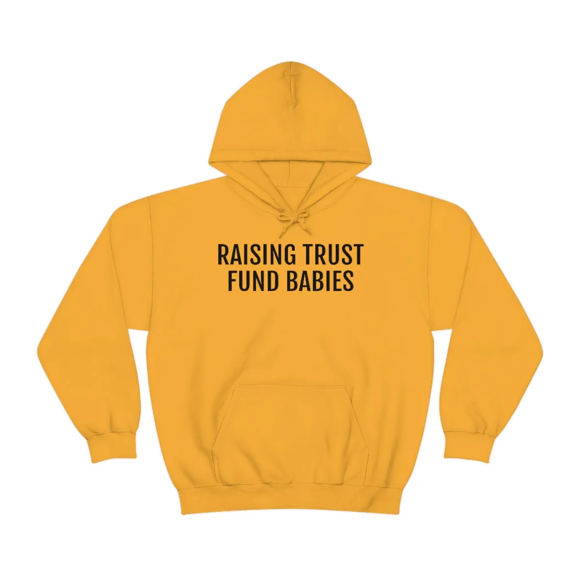 Raising Trust Fund Babies - Unisex Heavy Blend™ Hooded Sweatshirt