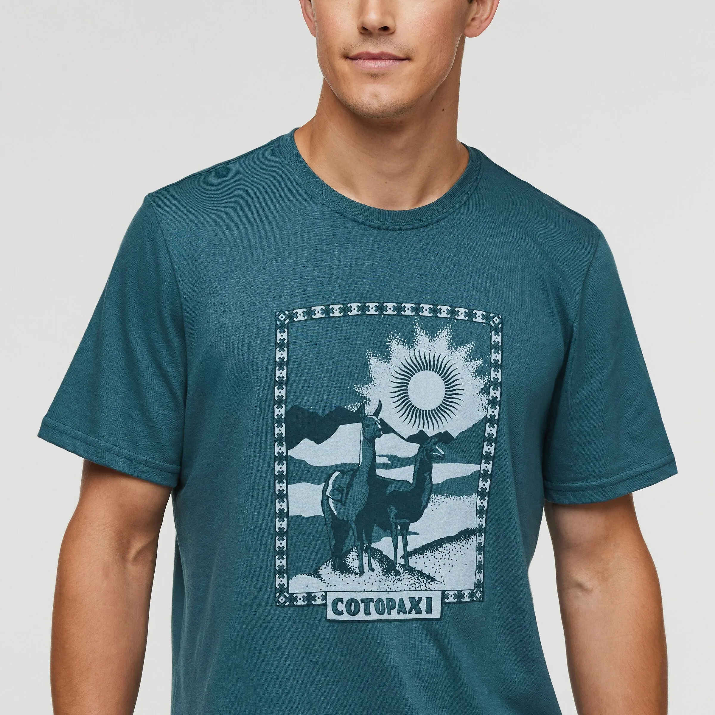 T-Shirt Llama Greetings Organic