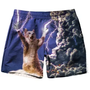 Thundercat Shorts