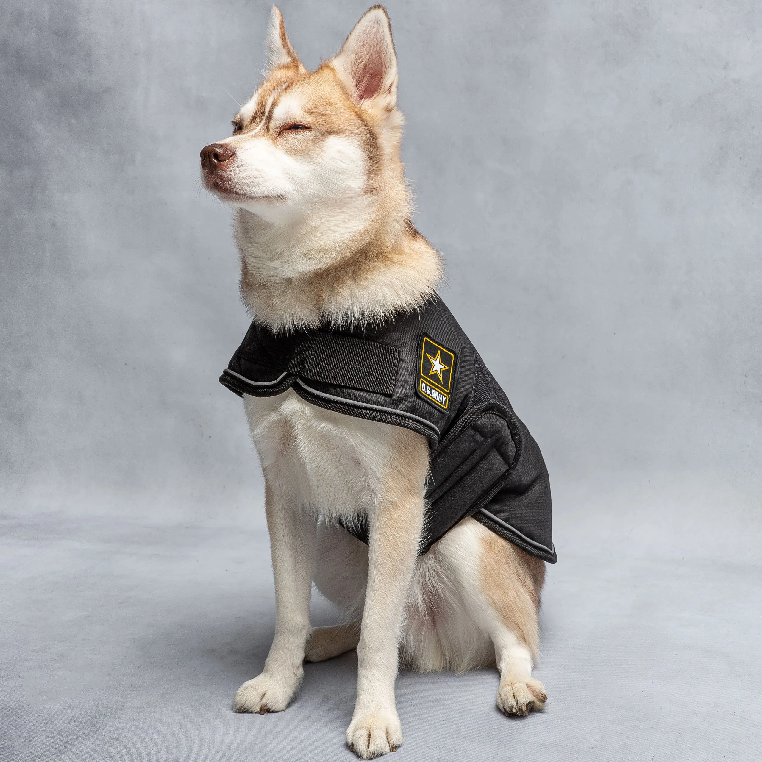 U.S. Army Dog Blanket Jacket - Black