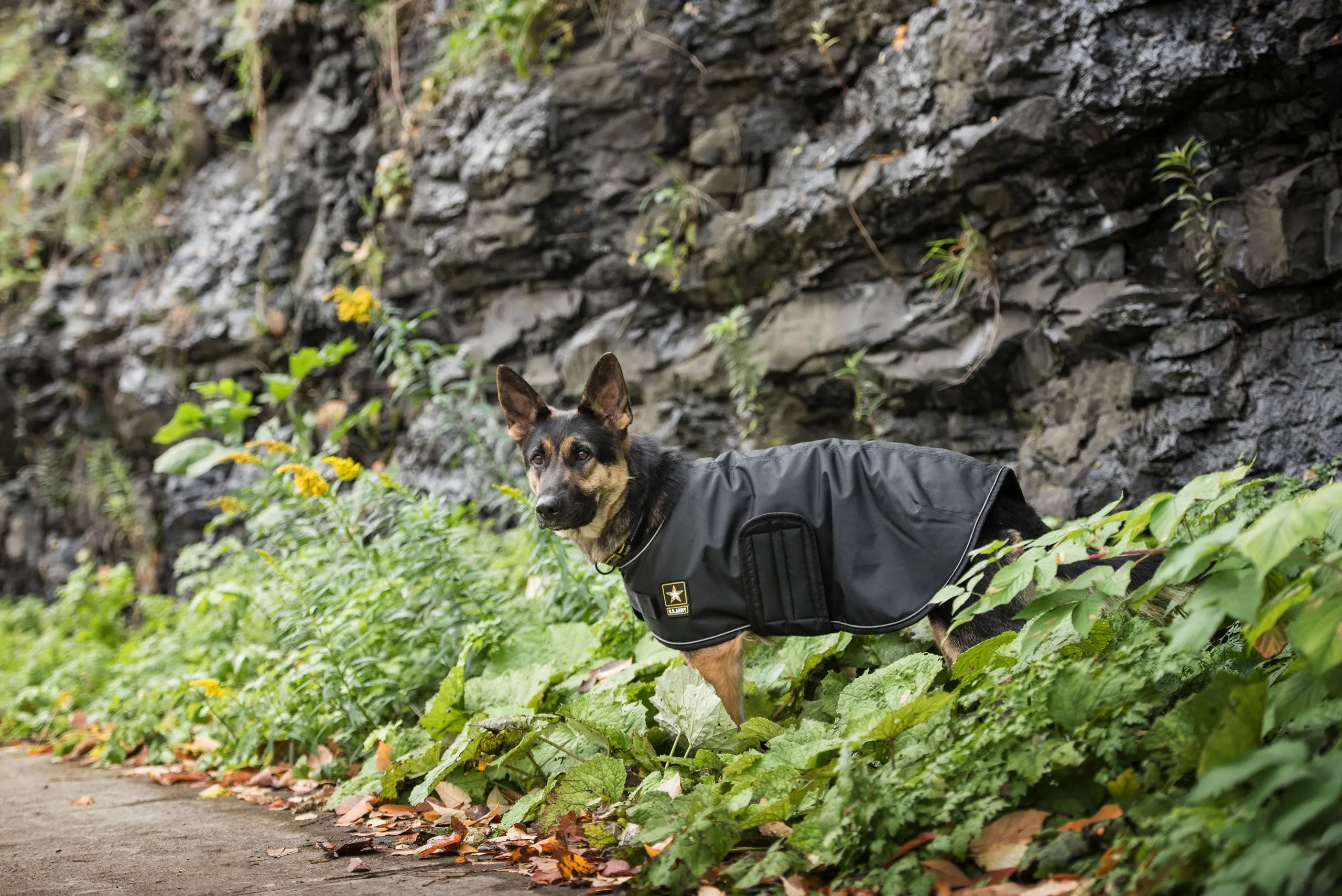 U.S. Army Dog Blanket Jacket - Black